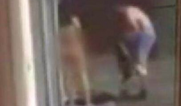 免费啪啪啪视频,网络诱惑背后的真相